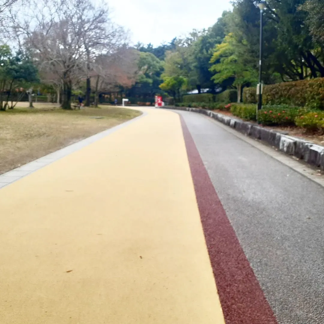 【長住】今日は昼間少し暖かかったので『春日公園』でウォーキン...