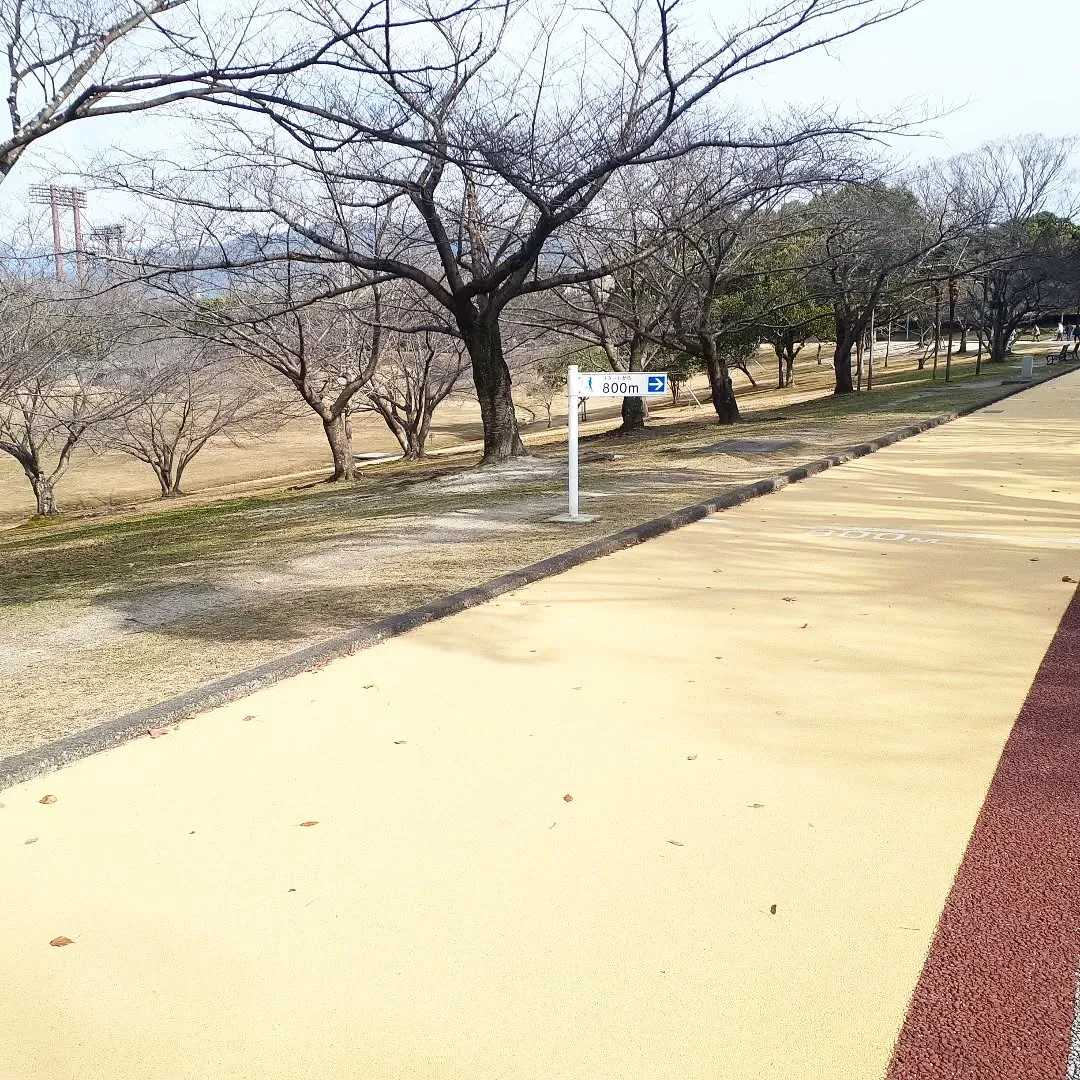 【長住】今日も出勤前に『春日公園ウォーキング🏃』2周歩いたら...