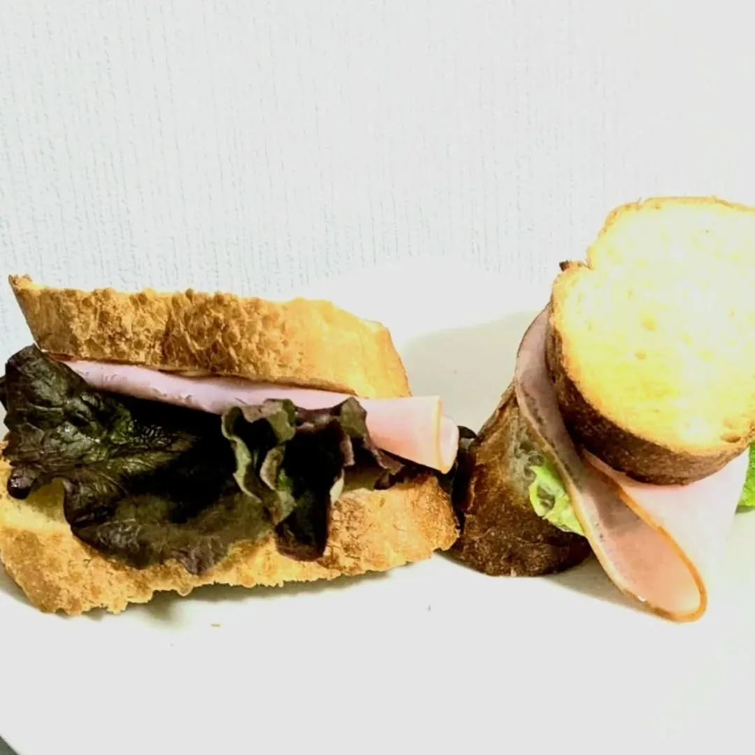 【長住】店休日のらしくです。