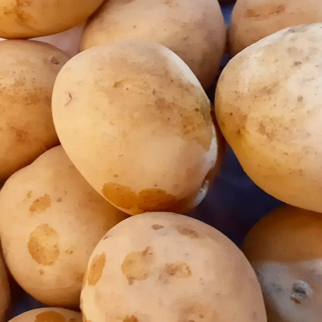 【長住】今夜は「あれ」で一杯🍺やりましょう らしくです。