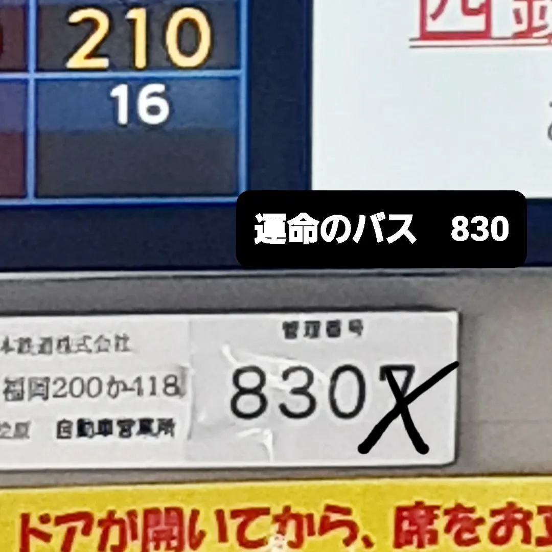 【長住】博多どんたく港まつり