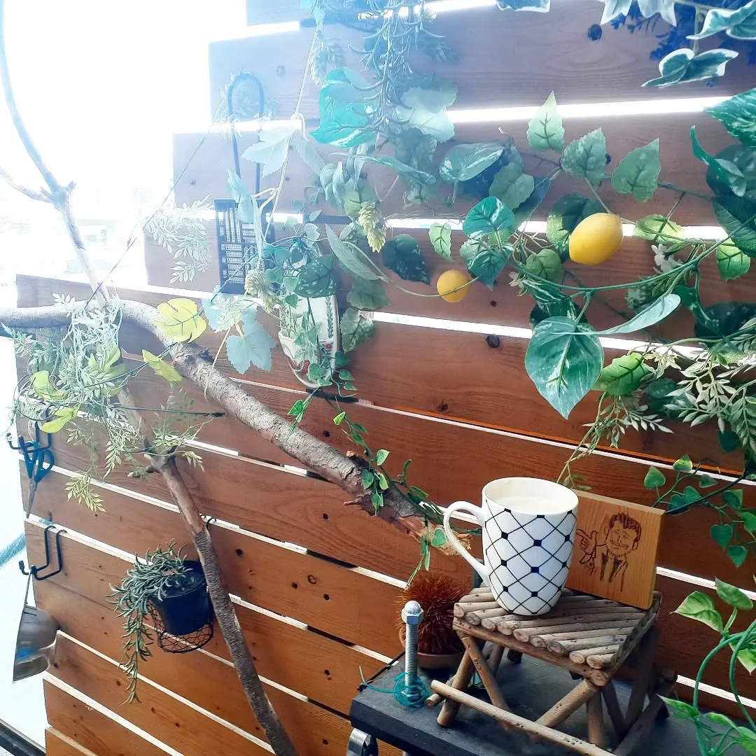 【長住】7.8日　少し遅れのゴールデンウィークします。