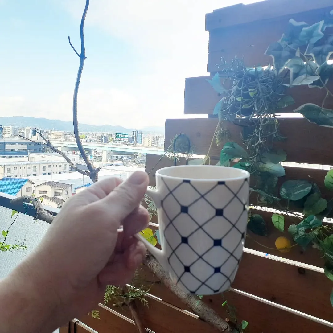 【長住】7.8日　少し遅れのゴールデンウィークします。