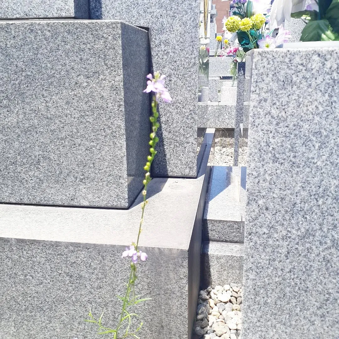 【長住】昭和43年5月10日 茂治親父が亡くなって 今日で5...