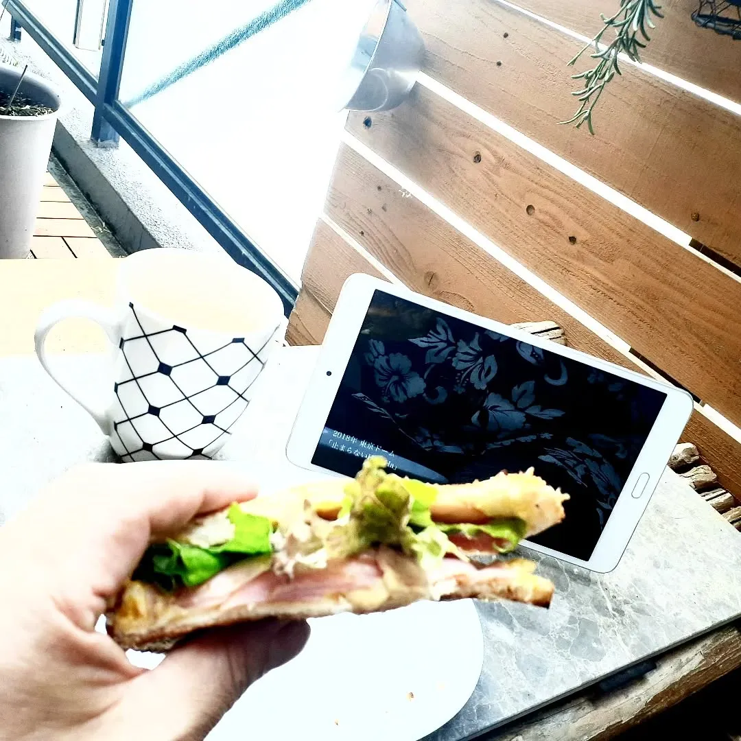 【長住】店休日の らしくです。