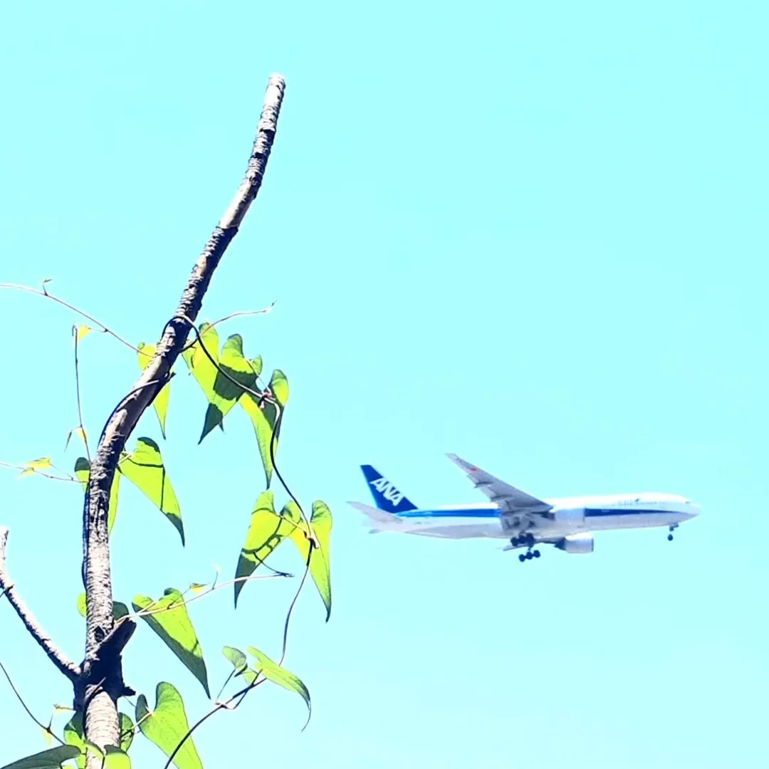 【長住】梅雨入り間近の福岡