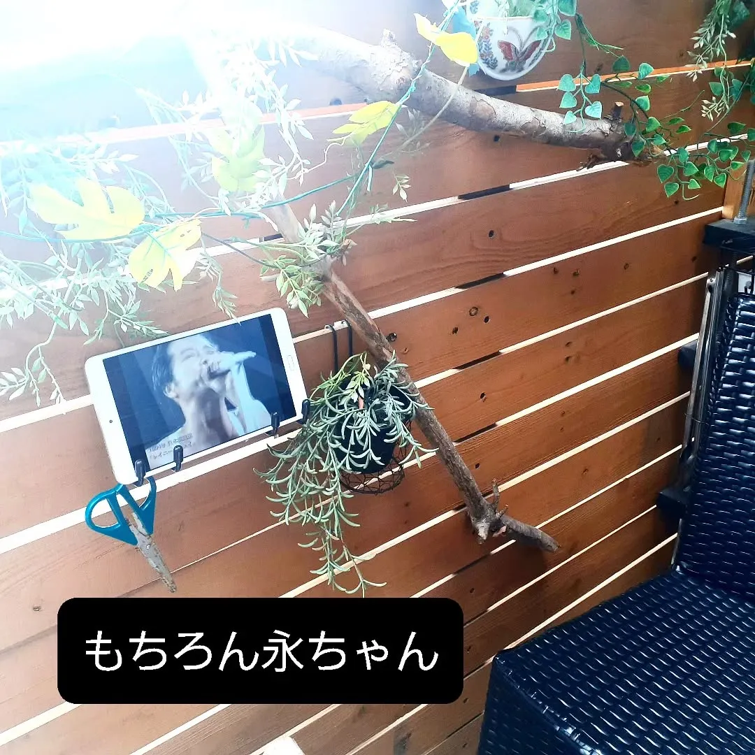 【長住】今朝はベランダで朝食