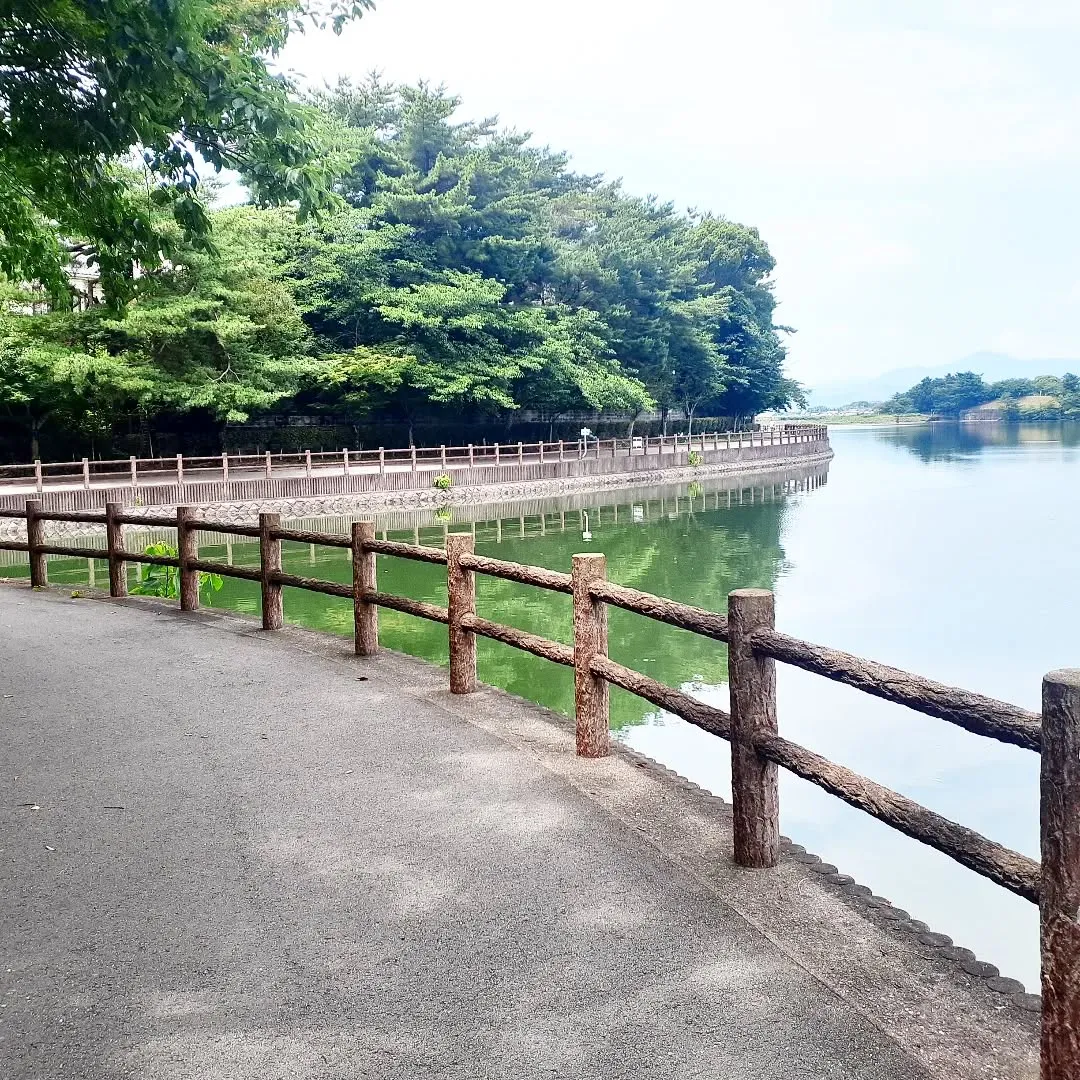 【長住】今日は☂️降ってなかったので「白水大池公園」