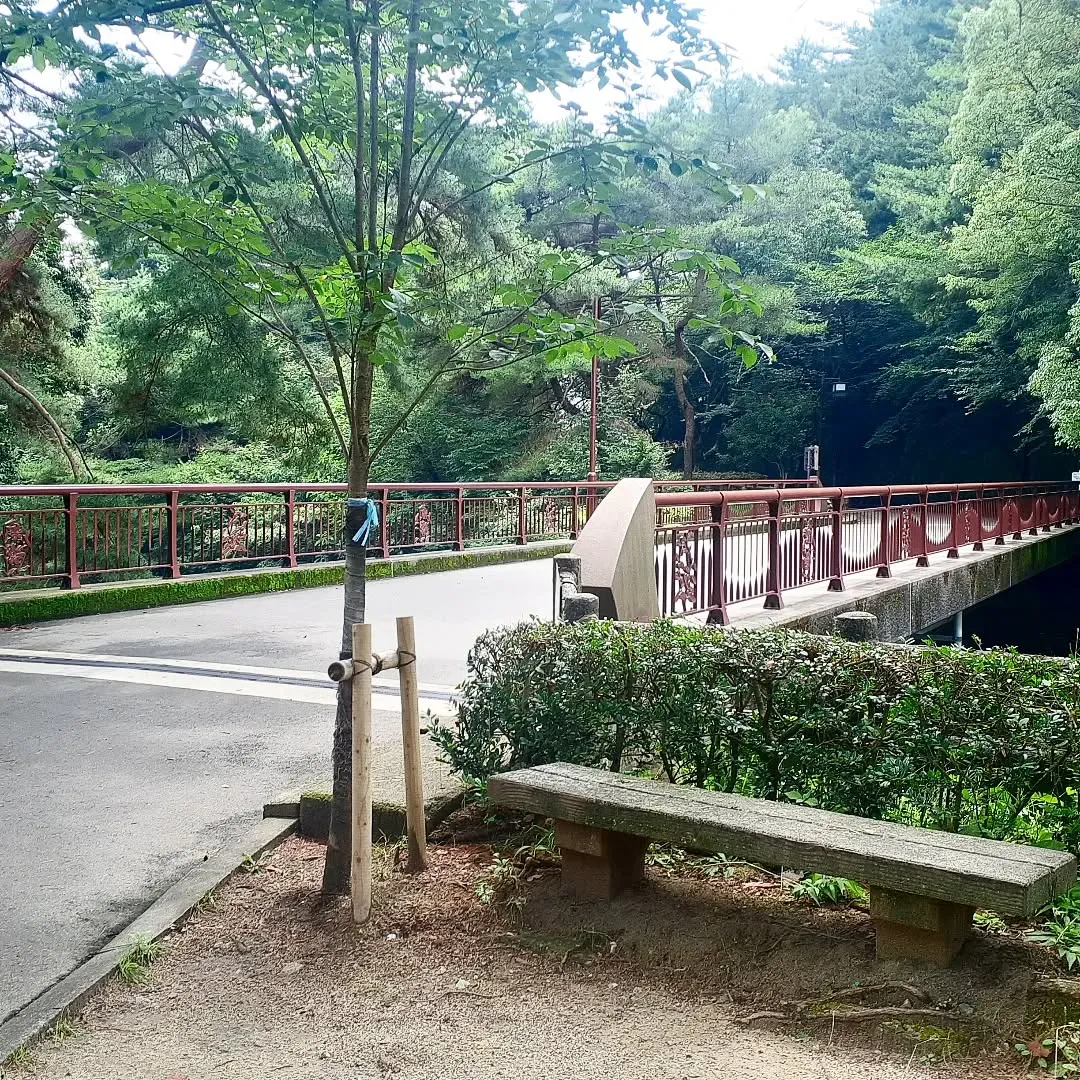 【長住】今日は☂️降ってなかったので「白水大池公園」