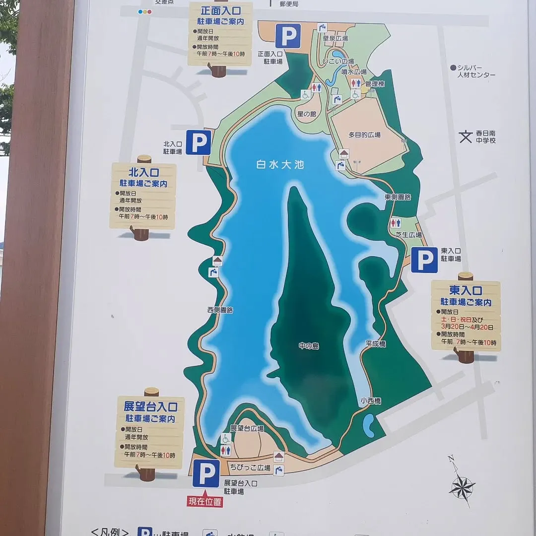 【長住】今日は☂️降ってなかったので「白水大池公園」