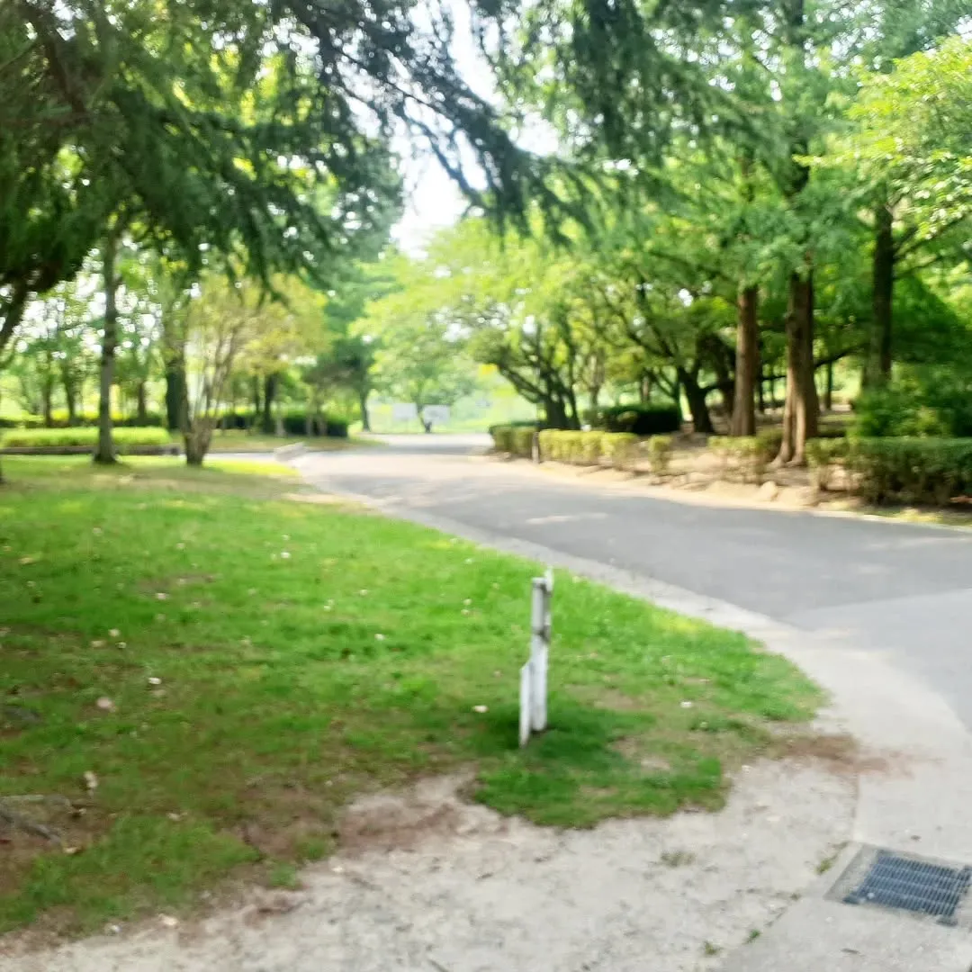 【長住】毎日　お客さんとの最初の会話は「暑い☀️😵💦」です　...