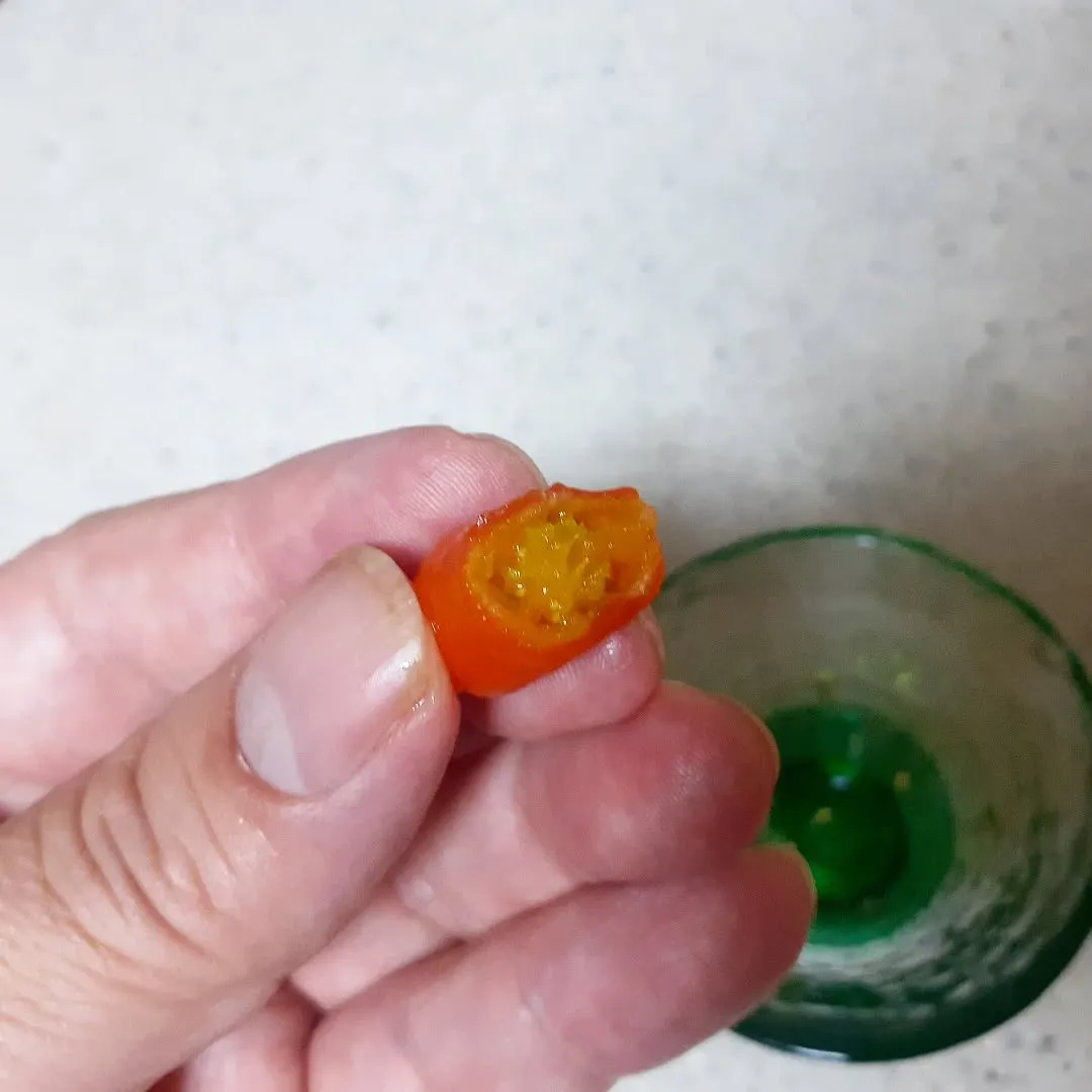 【長住】 火曜日　店休日の