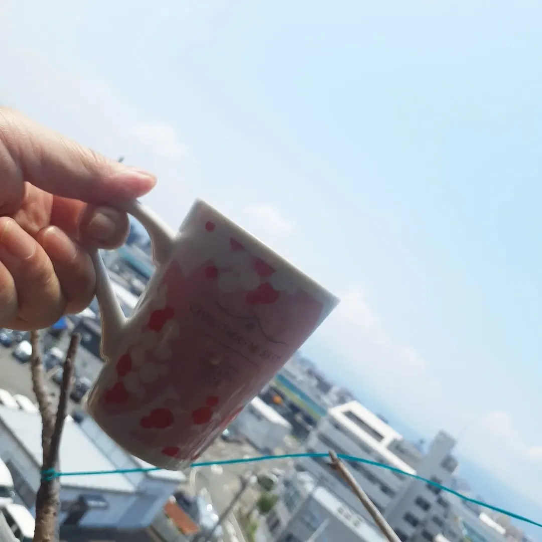 【長住】 火曜日　店休日の