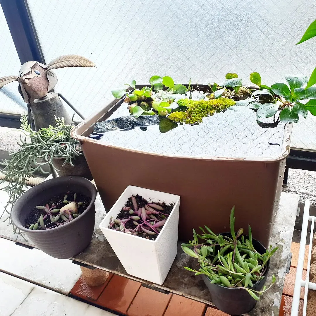 【長住】今日は火曜日 店休日