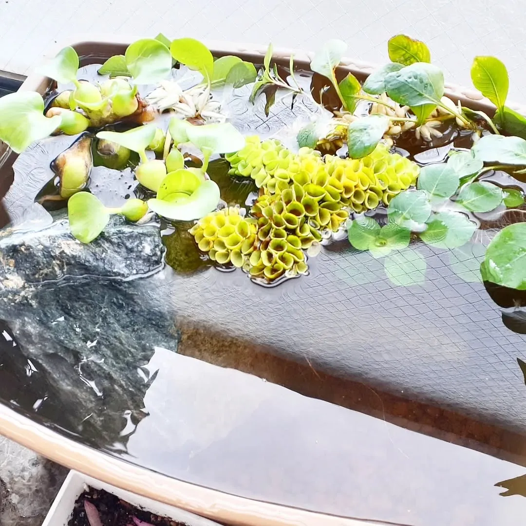 【長住】今日は火曜日 店休日