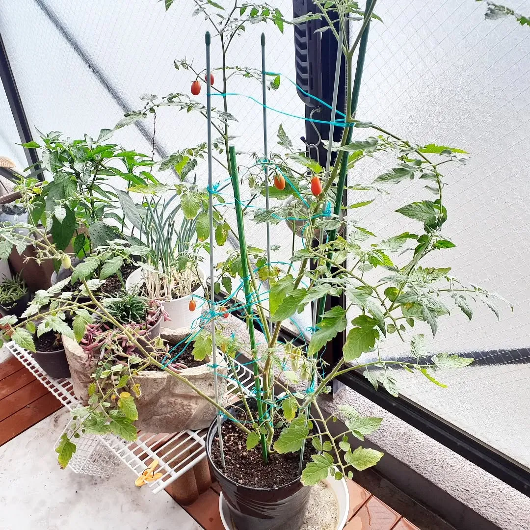 【長住】今日は火曜日 店休日