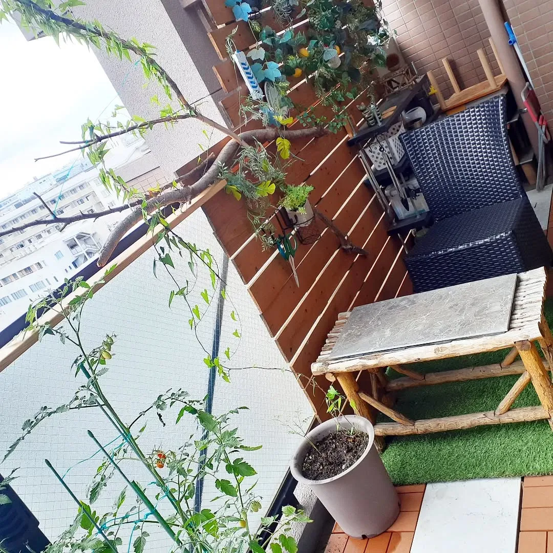 【長住】今日は火曜日 店休日