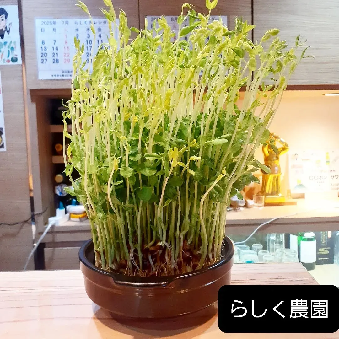 【長住】お客さんリクエストの🍾入荷しました。