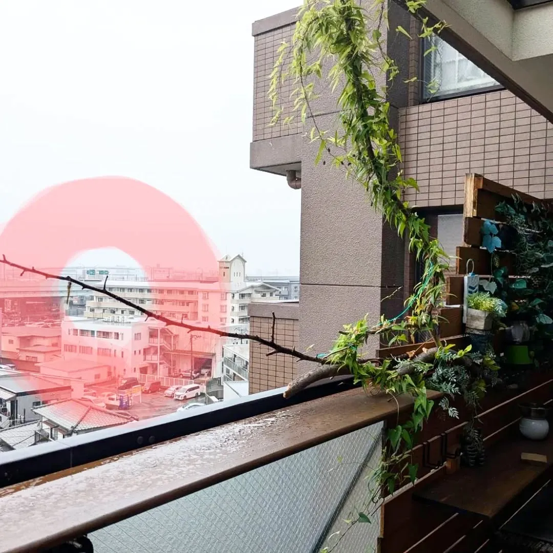 【長住】来週の火曜日も全部営業😎　遊びに来て下さい🍺