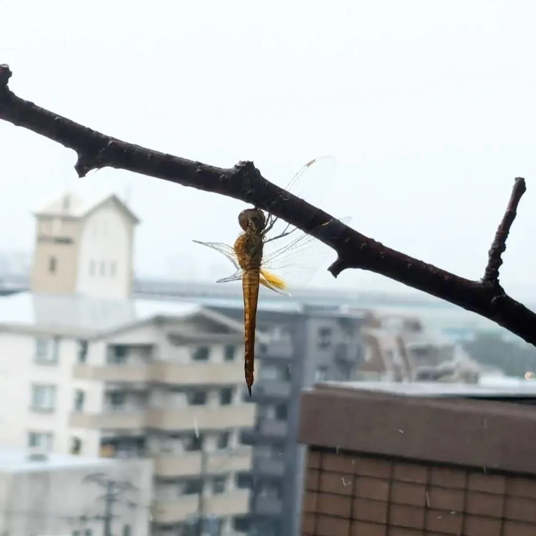 【長住】来週の火曜日も全部営業😎　遊びに来て下さい🍺