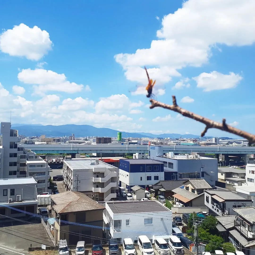 【長住】お盆中日　今朝も都市高速は渋滞🚗🚗🚗してます。