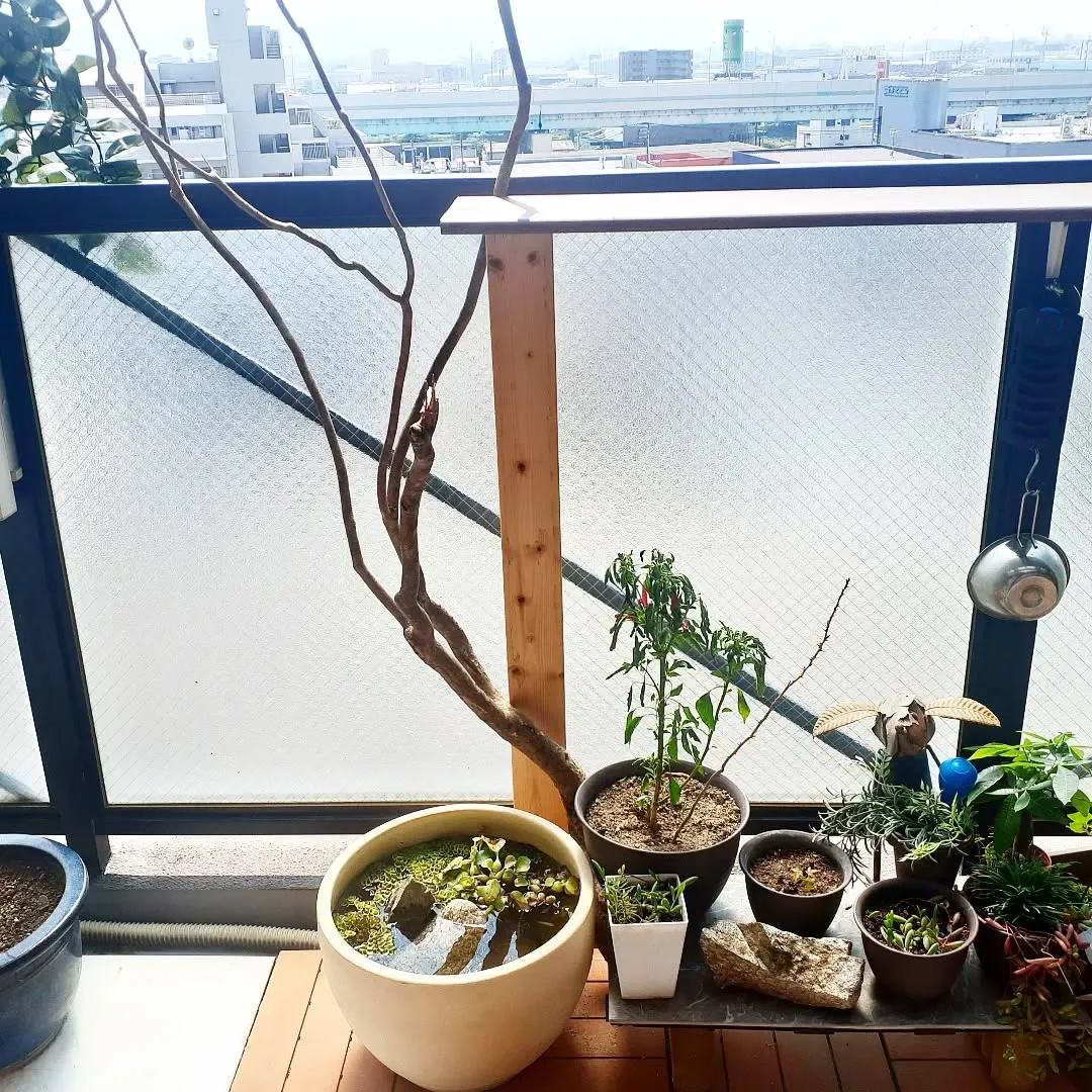 【長住】休み2昼間目最終日💦