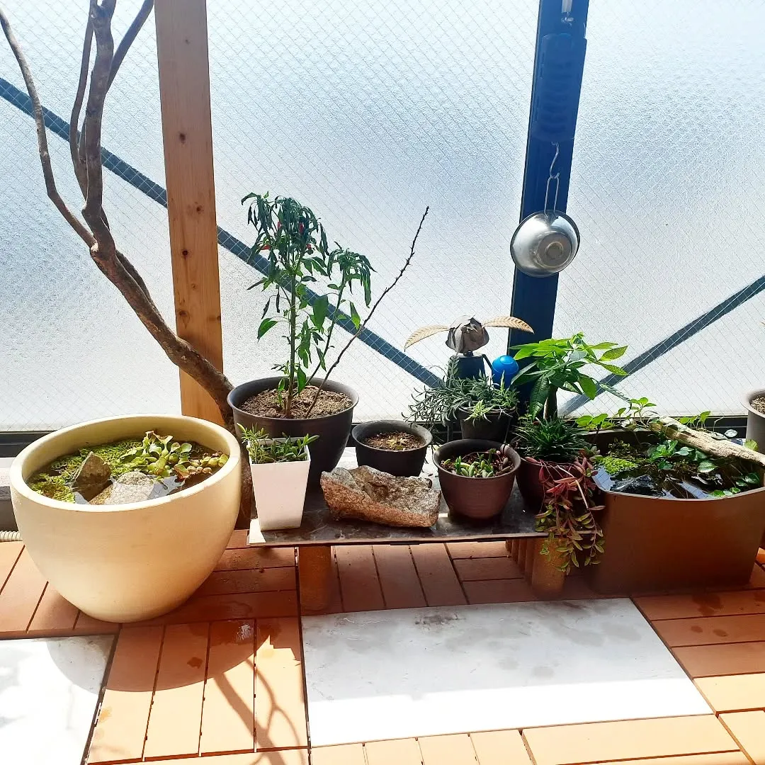 【長住】休み2昼間目最終日💦