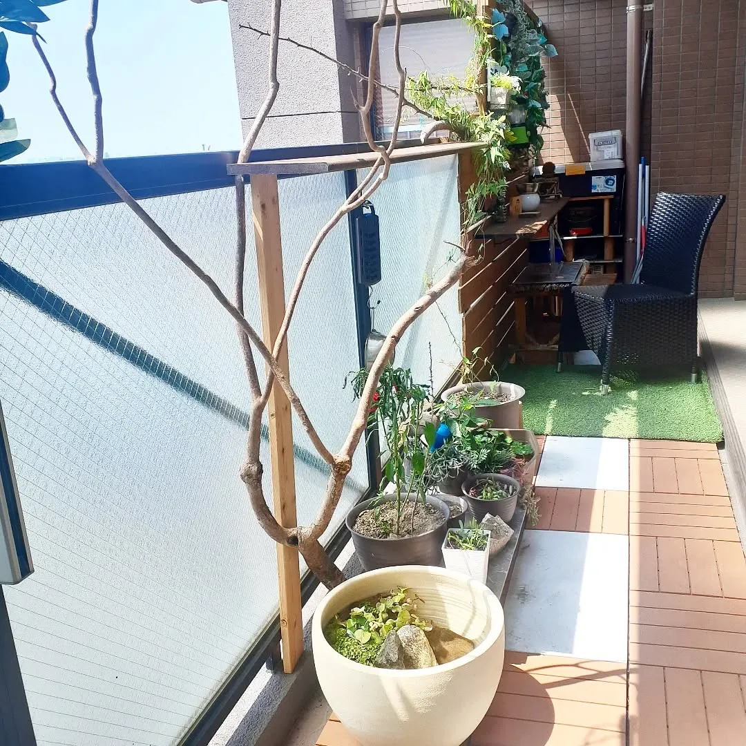 【長住】休み2昼間目最終日💦