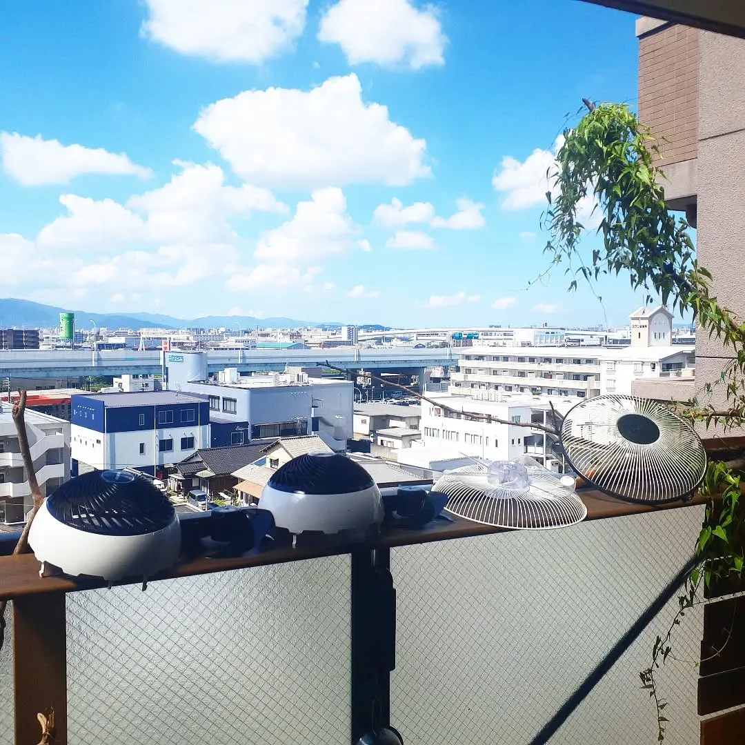 【長住】今日は起きたら☀️だったのでサーキュレーターの掃除。