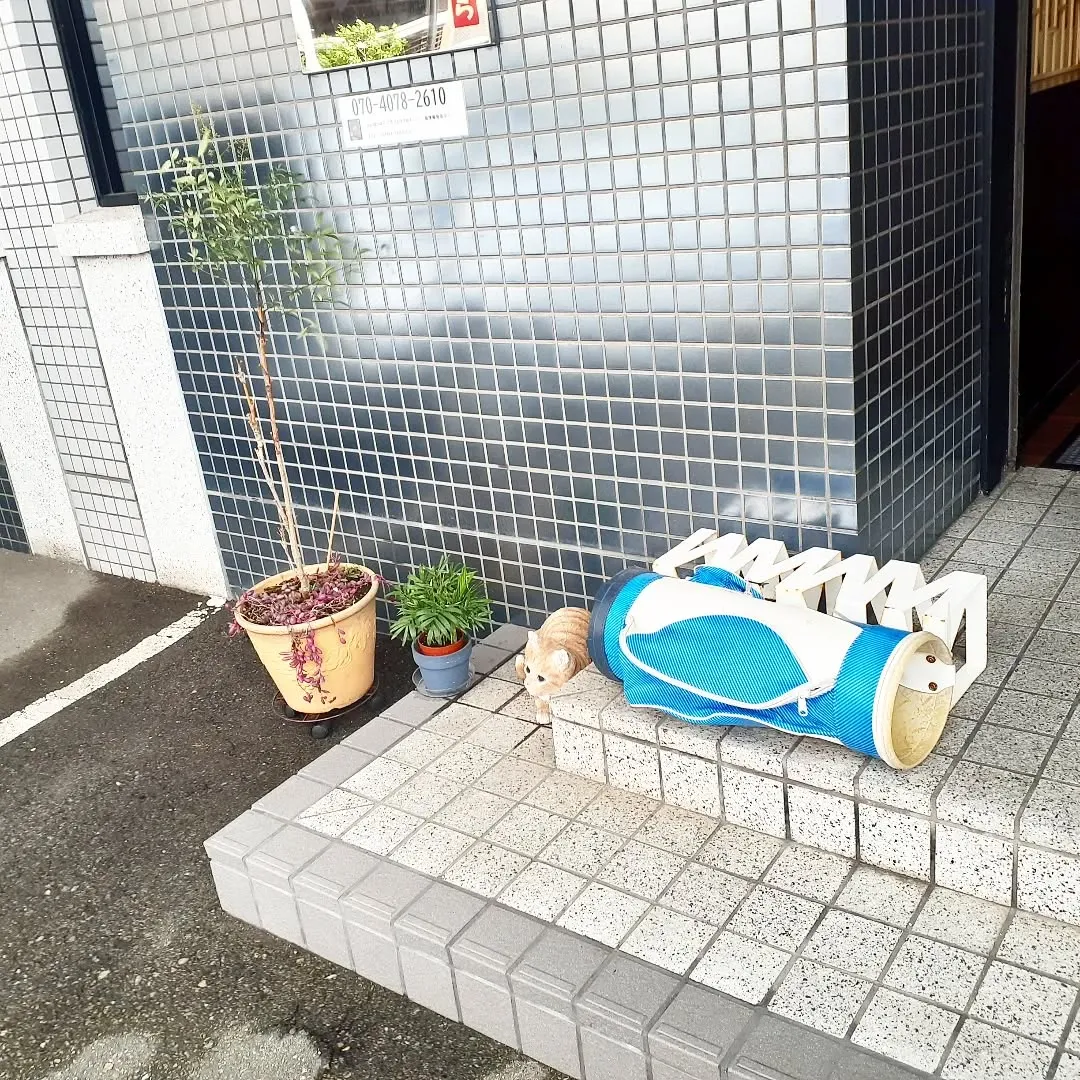 【長住】イチロー兄　阪神タイガース優勝おめでとうございます。