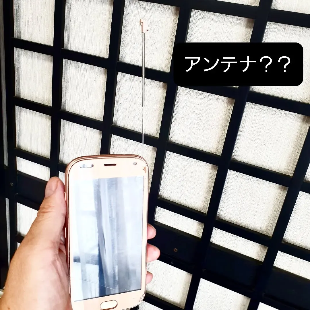 【長住】店休日　なぜかいつもより早起きの　らしくです。