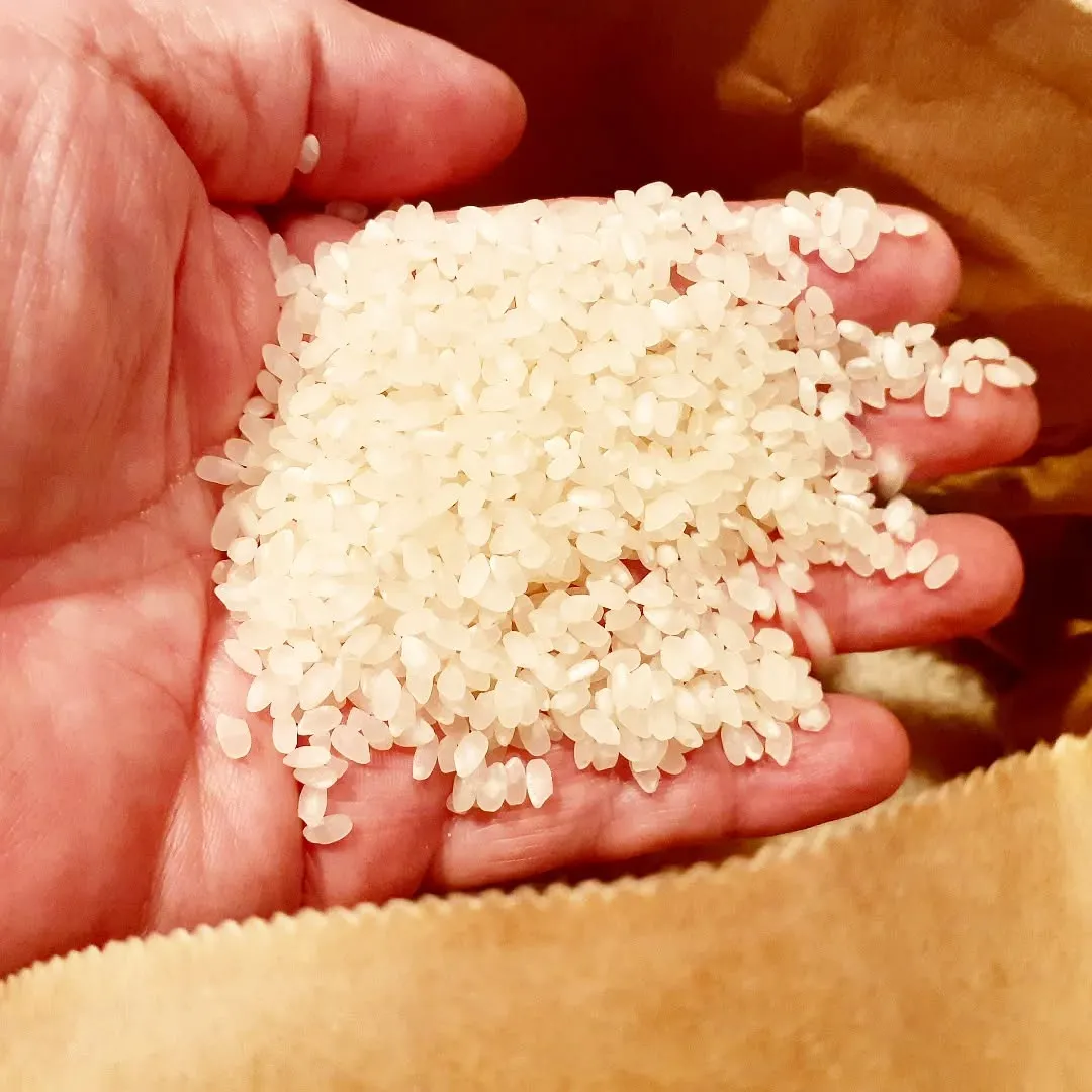 【長住】今年も「中嶋米農園」