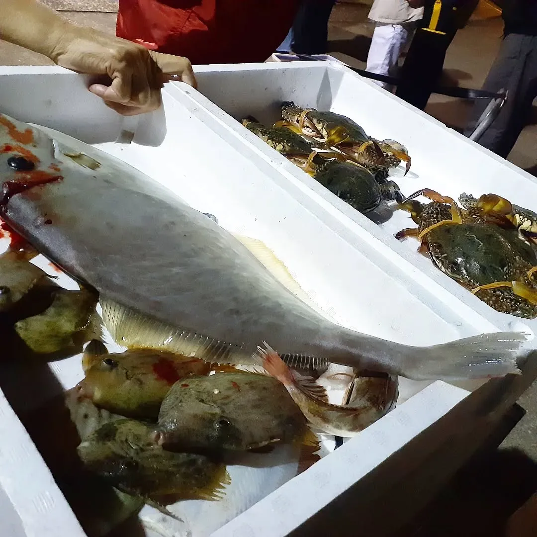 【長住】今日は4:30早起きして「姪浜朝市」🚙💨