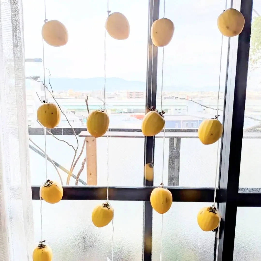 【長住】店休日の らしくです。