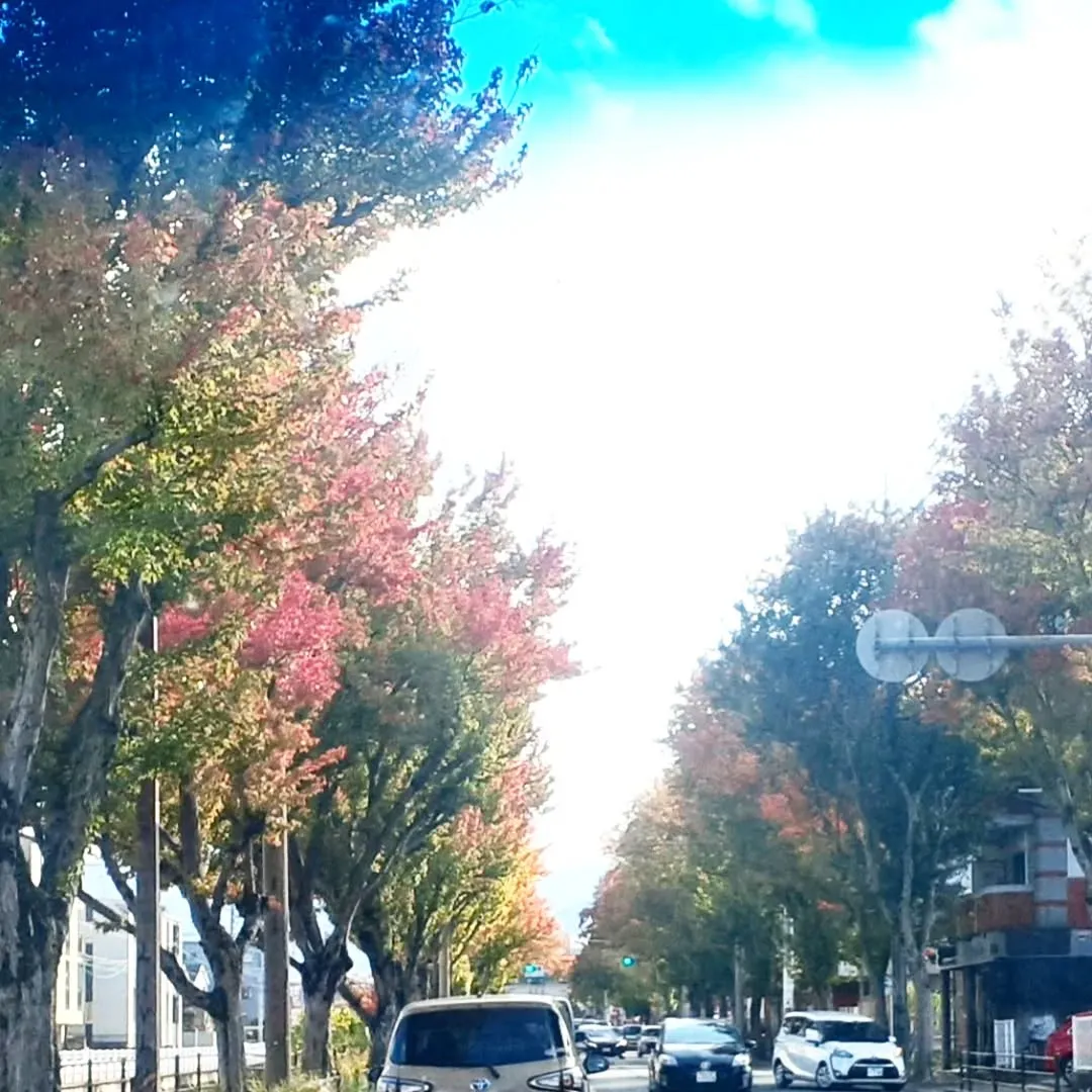 【長住】今日は営業前に　お客様の日本舞踊の先生の踊りを見に行...