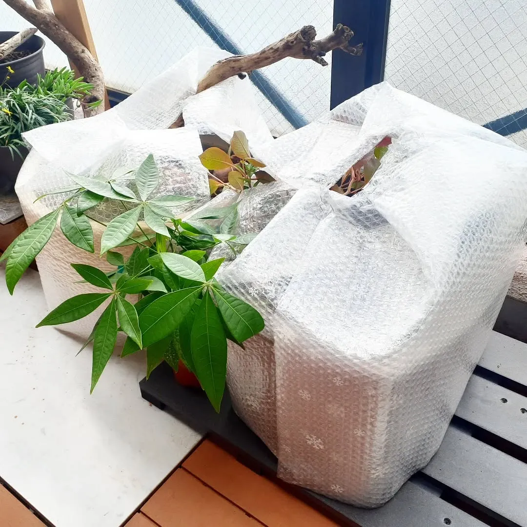 【長住】初めてのビオトープの冬を迎えます。