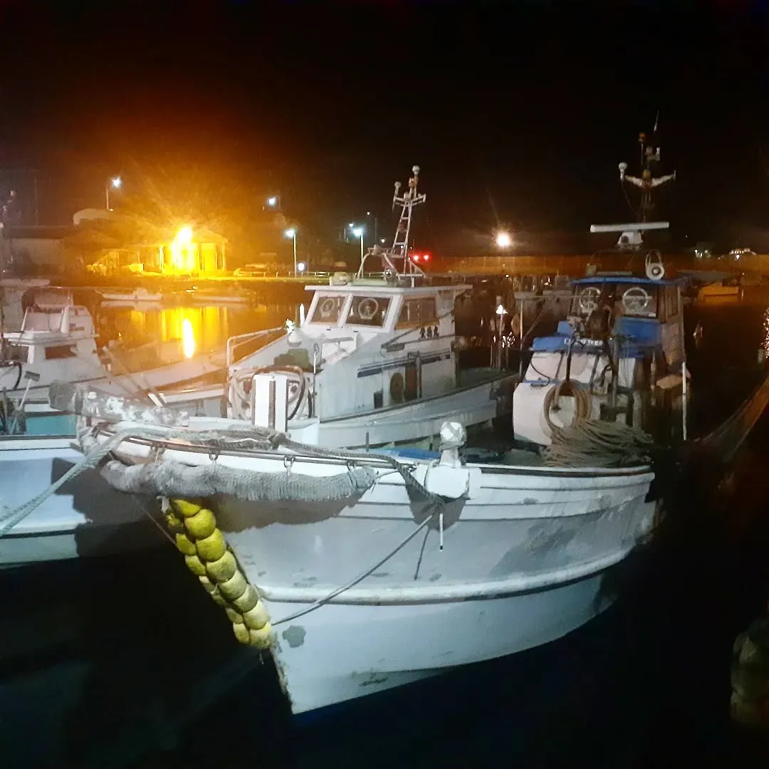 【長住】今日の昼間は暖かかった💦　来週は寒さを覚悟しています...