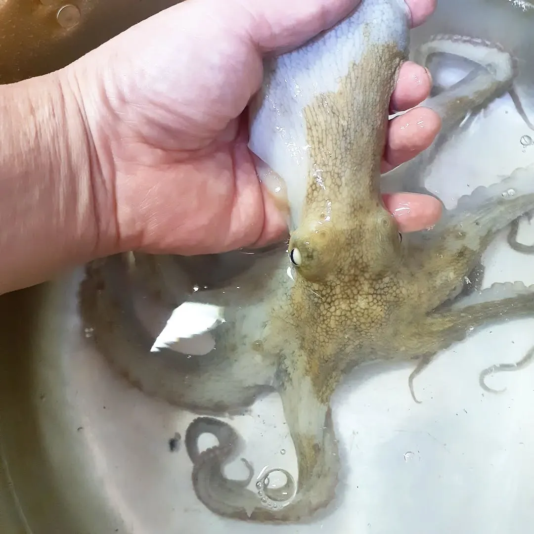 【長住】今日の昼間は暖かかった💦　来週は寒さを覚悟しています...