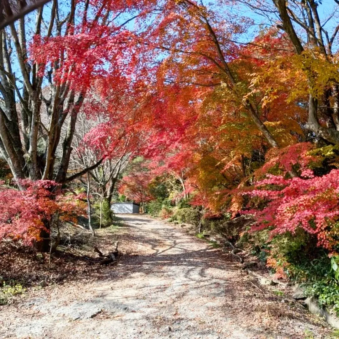 【長住】店休日の🍺
