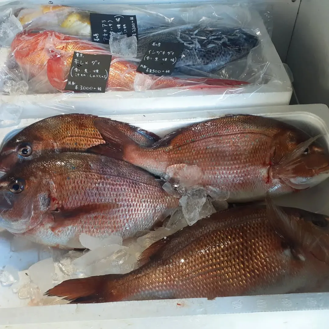 【長住】休みの🍶らしくです