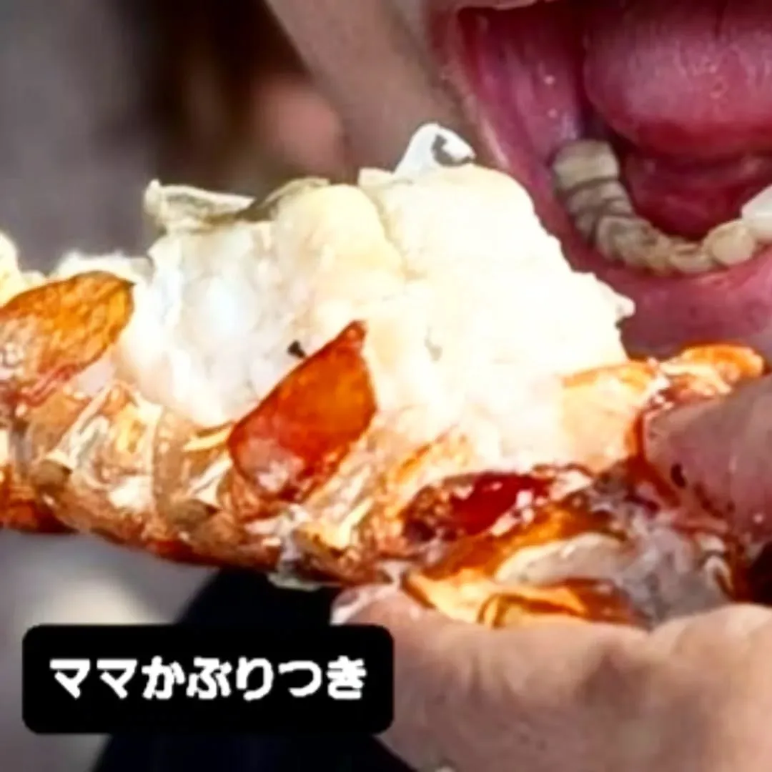 【長住】店休日の　らしくです。