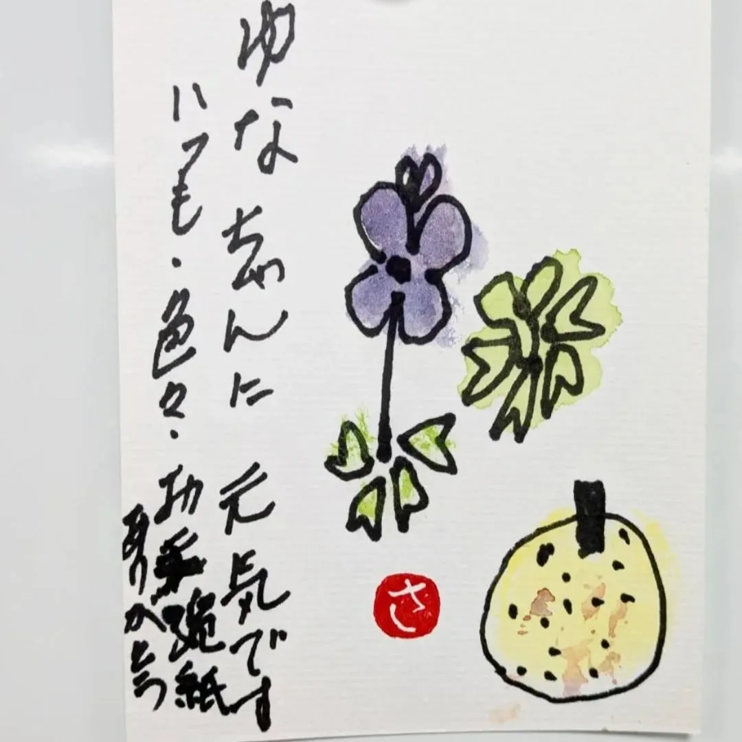 【長住】明日の朝「らしくファミリーのTOBI」が6ヶ月の✈️