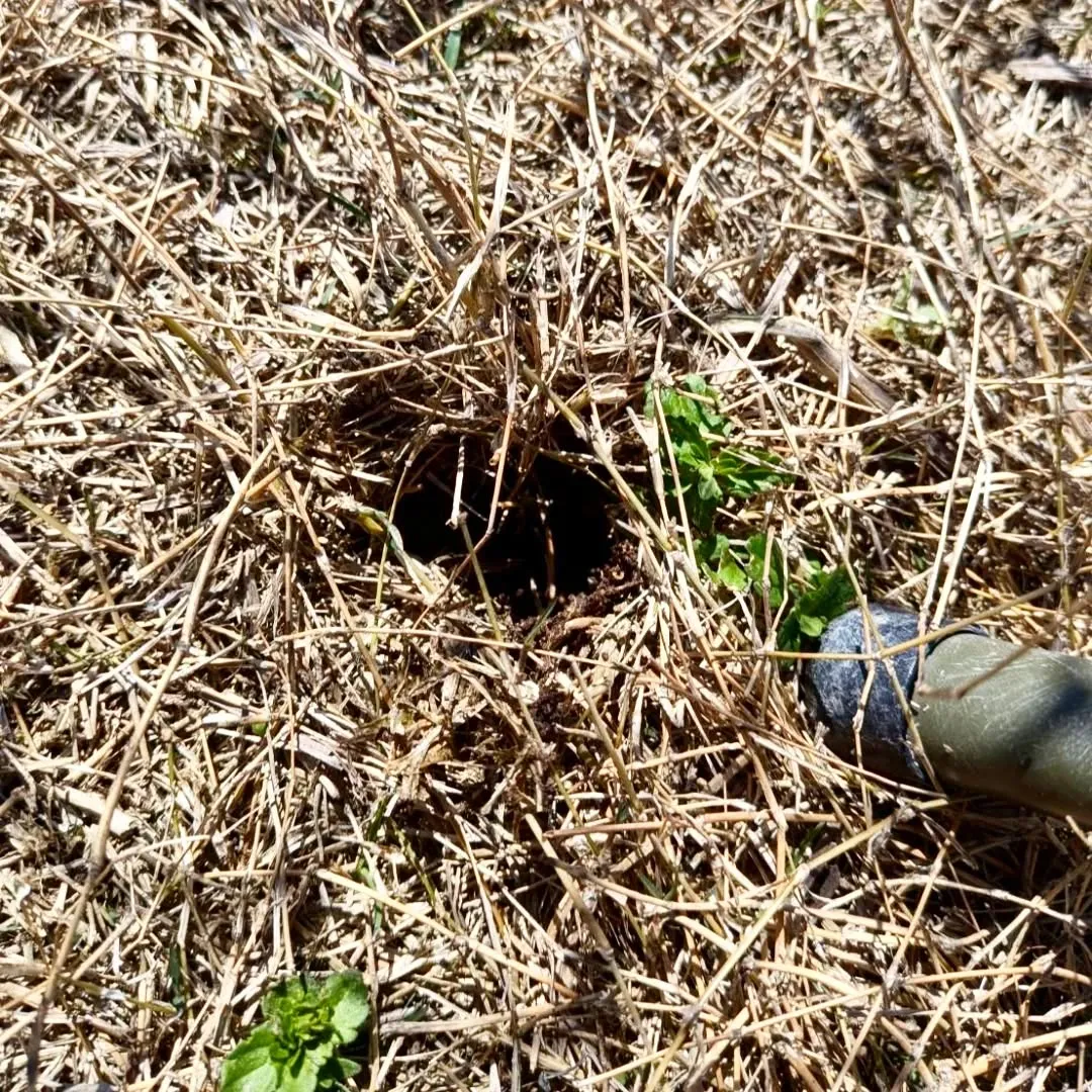 【長住】昨日の孫１号⚽サッカー応援　ママが座ってた椅子