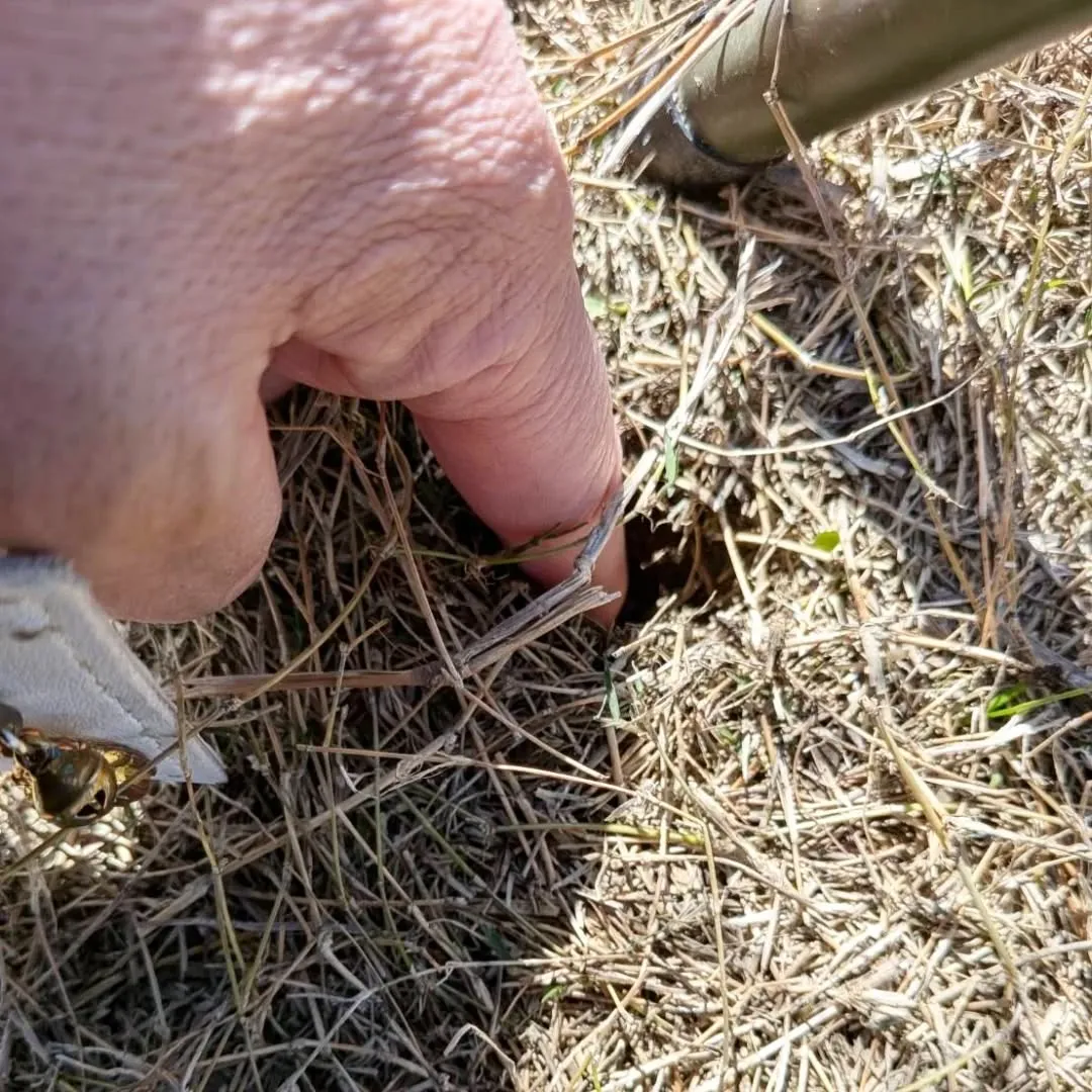 【長住】昨日の孫１号⚽サッカー応援　ママが座ってた椅子