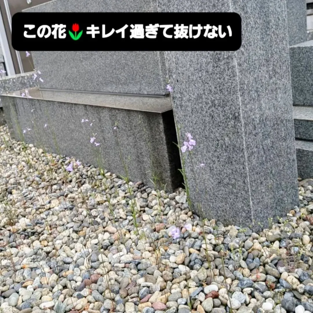 【長住】今日は10日恒例の