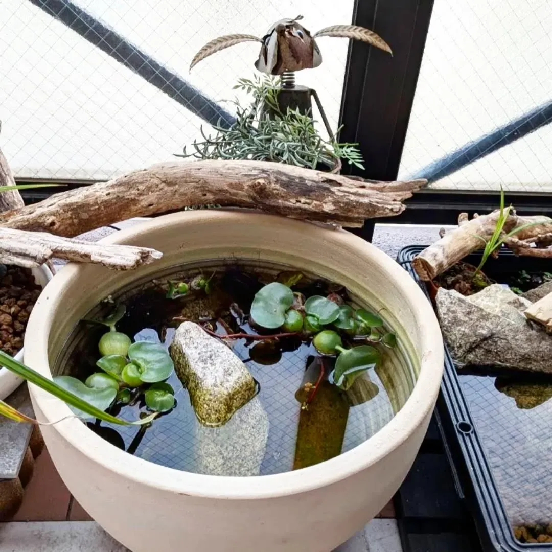 【長住】店休日のらしくです。