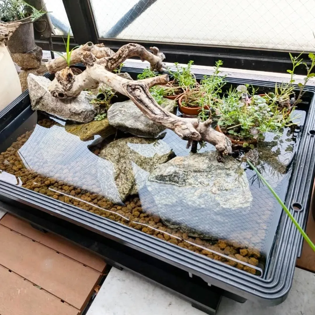 【長住】店休日のらしくです。