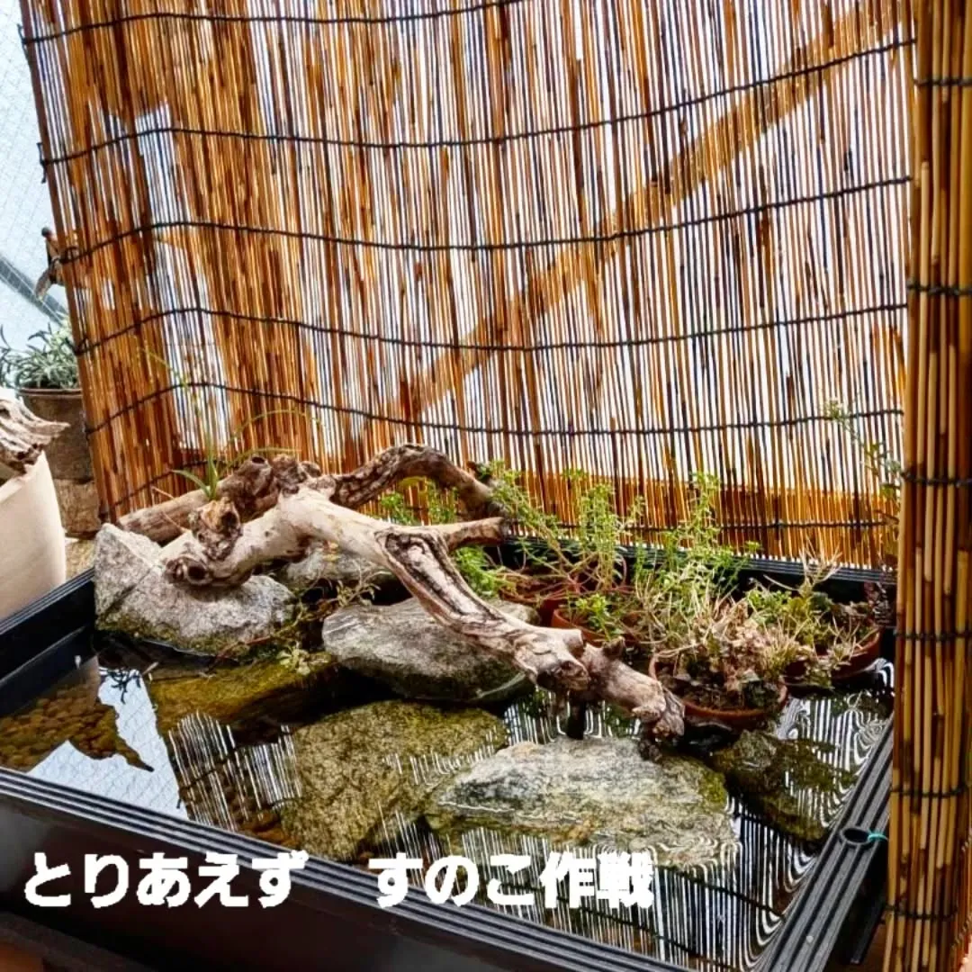 【長住】昨日今日連休頂いてる