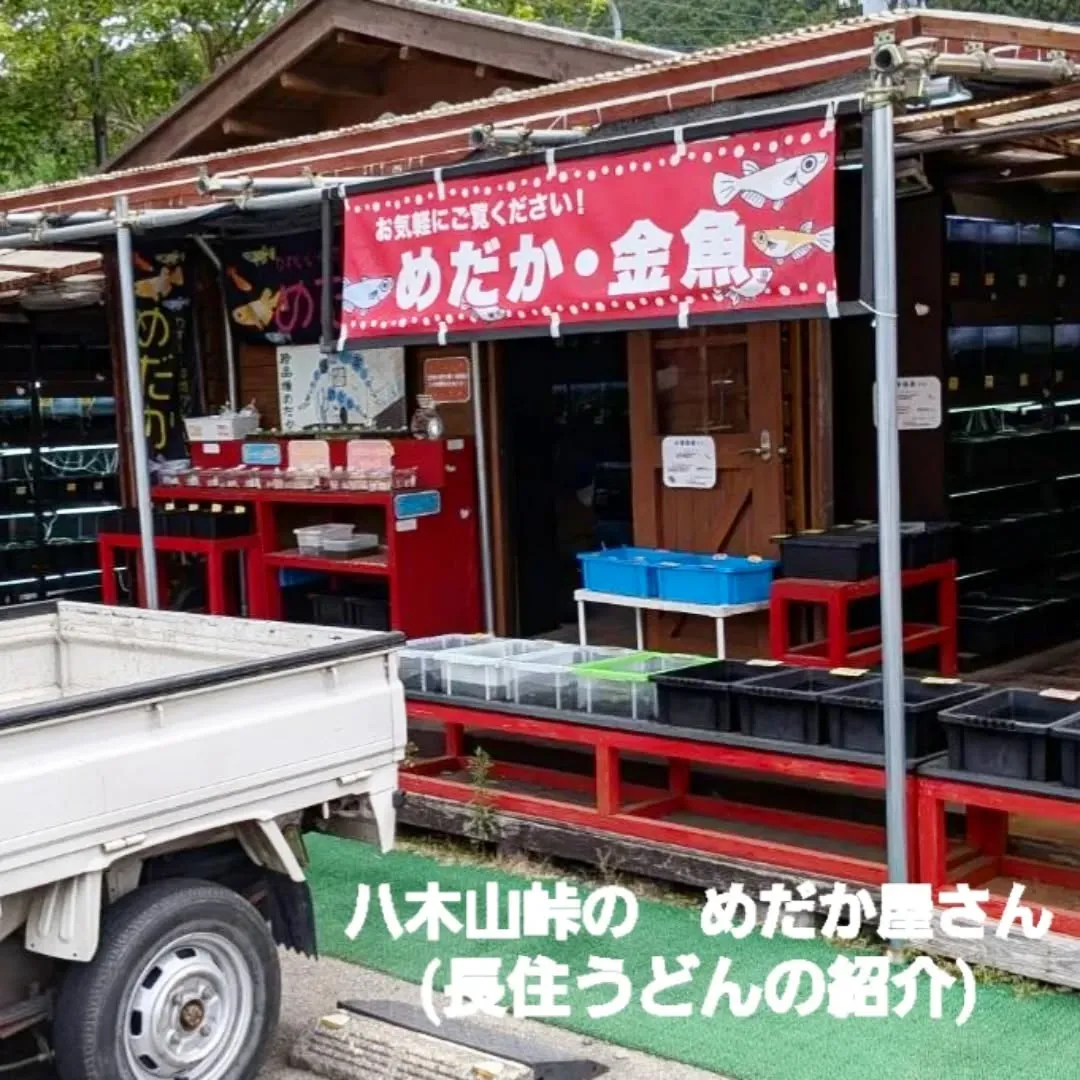 【長住】昨日今日連休頂いてる