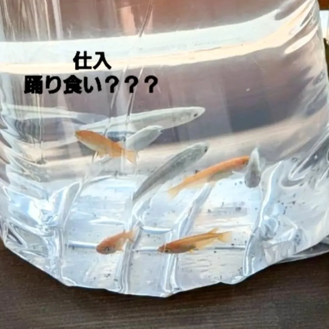 【長住】昨日今日連休頂いてる